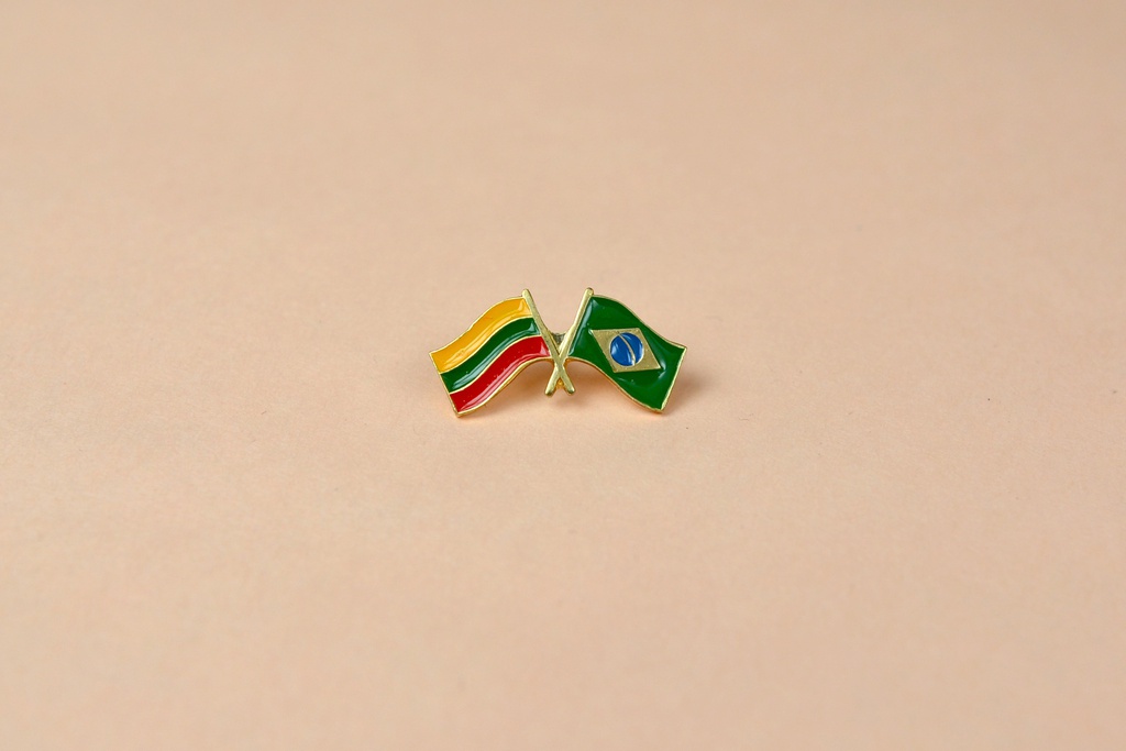 Lietuva - Brazilija