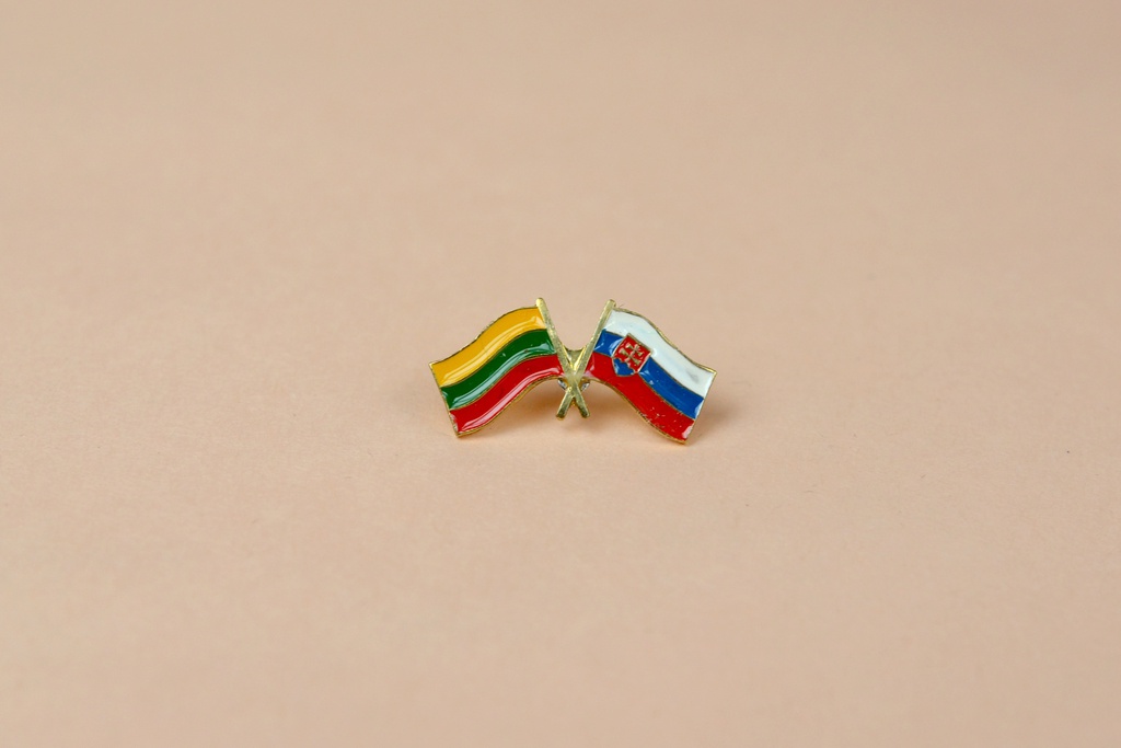 [410] Lietuva - Slovakija