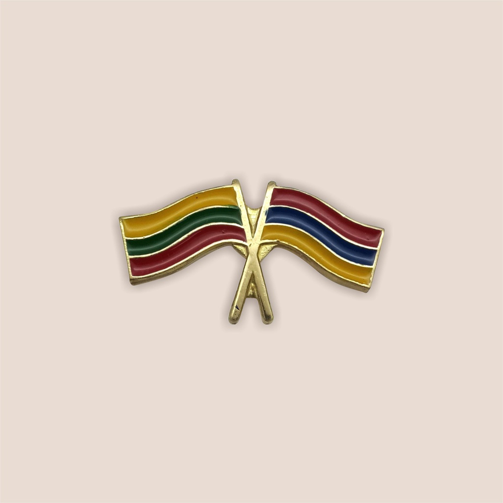 [465] Lithuania - Armenia