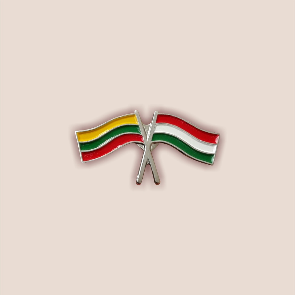 [358] Lithuania - Hungary